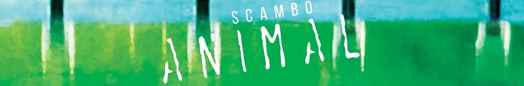 Scambo رمز قناة اليوتيوب