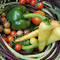 HN67JPlTSnU-channel-avatar-Start A Small Garden