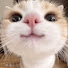 gDlUTSDdCM4-channel-avatar-MeowAuraa