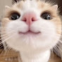 MeowAuraa Avatar