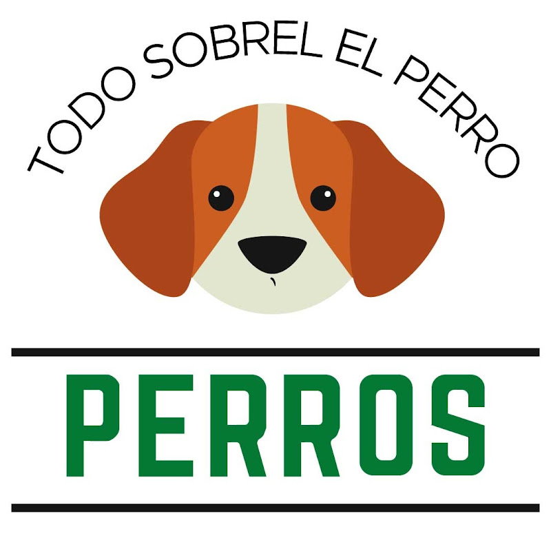 Todo Sobre el Perro