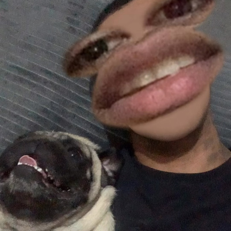itin vlogs