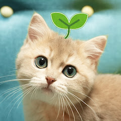 あさぎのもちもち日和