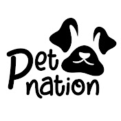 Pet Nation 