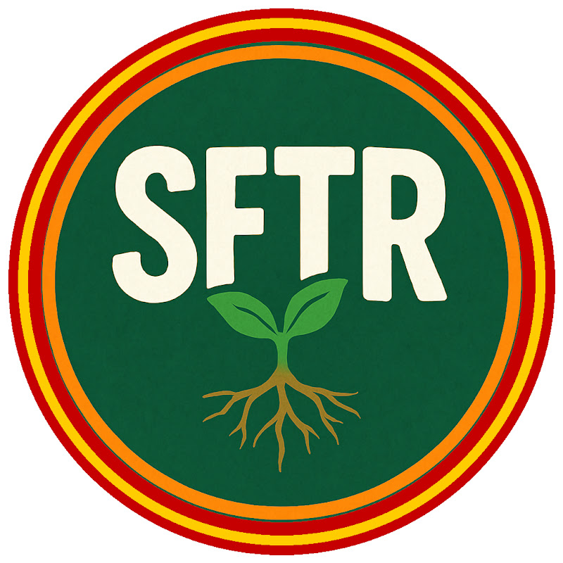 Spanish from the roots