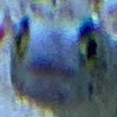 トミーとミート