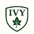 T768Im3SLNQ-channel-avatar-IvyMed