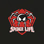 Spider Life Style