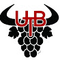 UNION TAURINE BITERROISE logo
