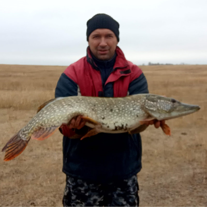 Рыбалка 34 Прихоперья! Logo