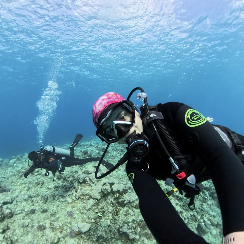 Dive with Surgeons