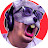 Rato Borrachudo