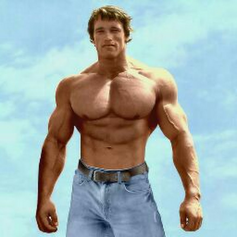 ex Mowgli official2.0