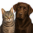 XLrfWNk6_n4-channel-avatar-Animal Mind