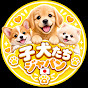 Puppies Japan