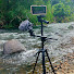 DrYq1iVMun0-channel-avatar-Falor Nature River