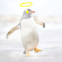 PenguinGod64 logo