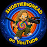 Bp53NyYY8Po-channel-avatar-shortiebighead