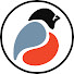 ZDA1YmfGYqk-channel-avatar-OC Aviary