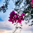 P1VW__jQfWw-channel-avatar-Journey2life