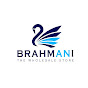Brahmani International logo