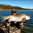 bjFLo17b6og-channel-avatar-Trout West 