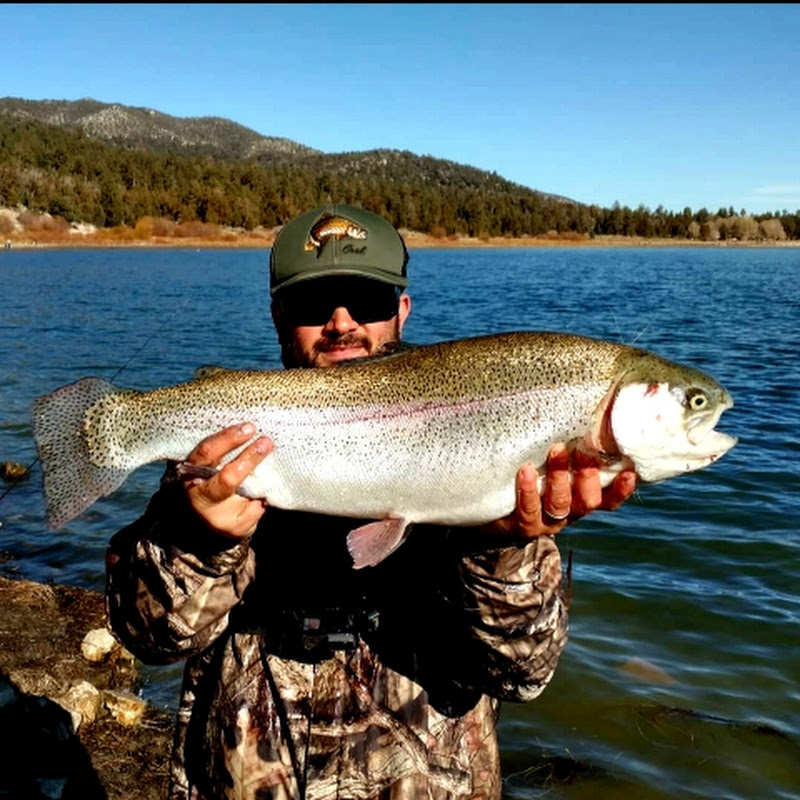 Trout West 