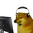 nx8qgUSeQXs-channel-avatar-CheemsStupid