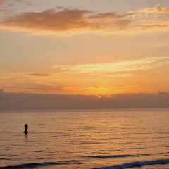 발등구이세시생