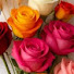 dU6QRVyniXc-channel-avatar-haryanvi_garden