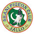 veIHsiW0CKQ-channel-avatar-Shani Pigeon Club jallo