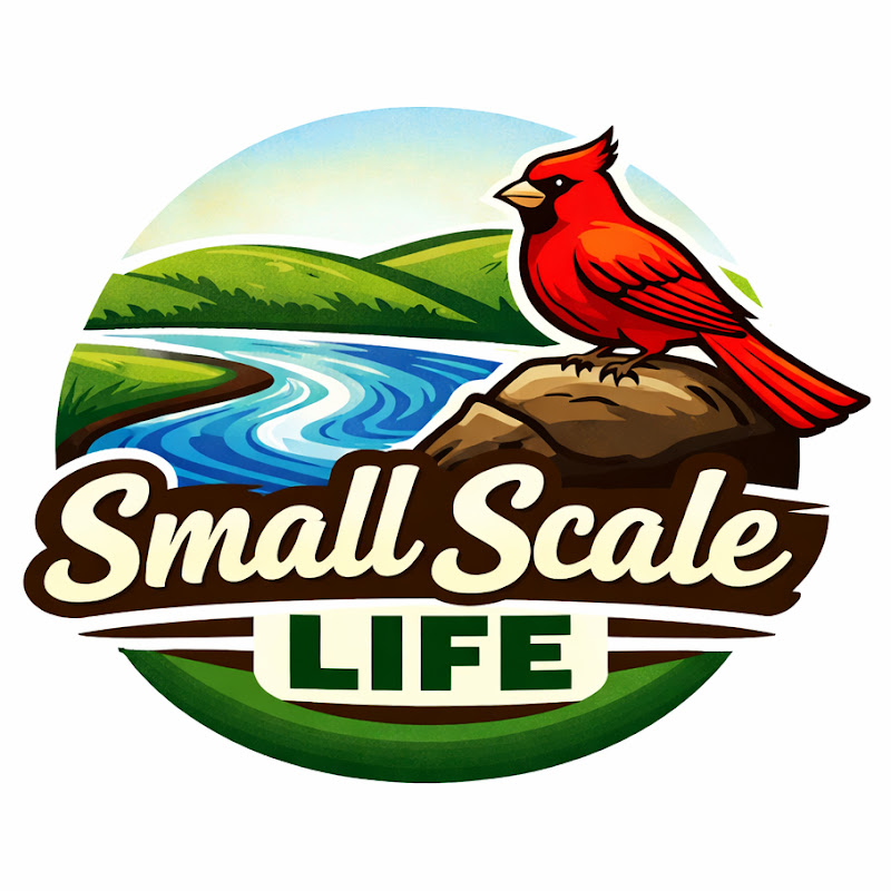 Small Scale Life