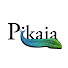 D84Jdel7g1g-channel-avatar-Pikaia - Il portale dell'evoluzione