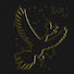 OAsP23vJDso-channel-avatar-KiraahPKM
