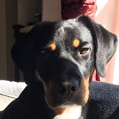 Declouxa Productions net worth