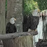 YWz-h8ZRswc-channel-avatar-SpeedTV