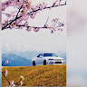 Автор