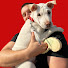vTxYNSDuIk0-channel-avatar-Red Packet Tom and ImaginedYouth Collectibles