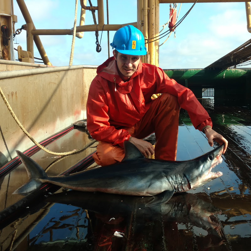 Жизнь Моряка Logo