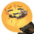 Cg_YqFpGe-Q-channel-avatar-lament666