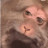 @endopo2's avatar
