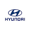 What could Hyundai Türkiye buy with $448.24 thousand?