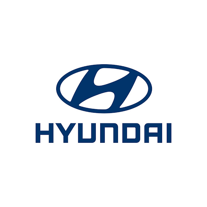 Hyundai Türkiye Net Worth & Earnings (2024)