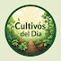 HRIXspf25hU-channel-avatar-Cultivos del Día