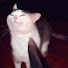 NUX2-0xSsTU-channel-avatar-electronic_rat
