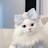@مريممحمود-ظ7ه5ث