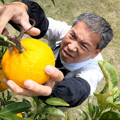 ジョーの家庭菜園チャンネル