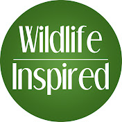 Wildlife Inspired w/ Scott Keys