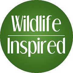 Wildlife Inspired w/ Scott Keys net worth