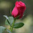 @SaraswatiKar-e6v